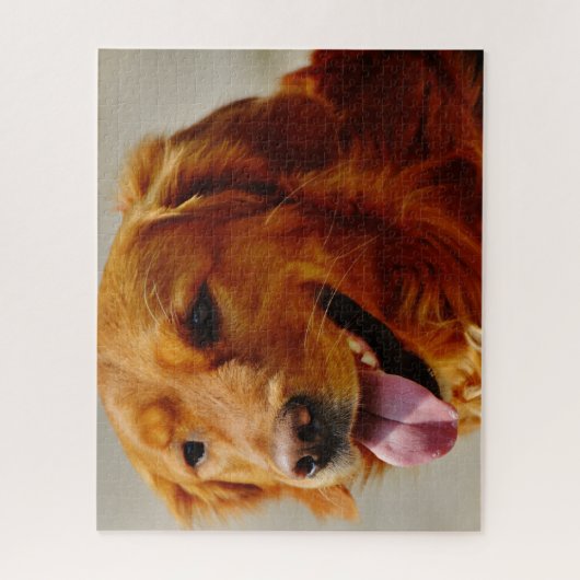 Irish Setter Dog. Legpuzzel (Verticaal)