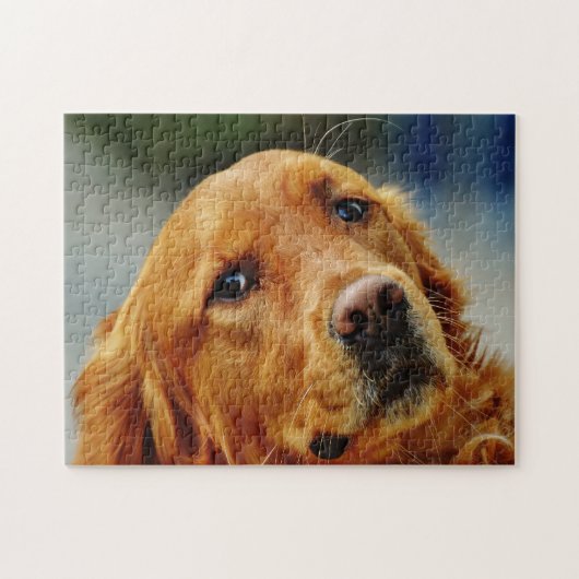Irish Setter Dog. Legpuzzel (Horizontaal)