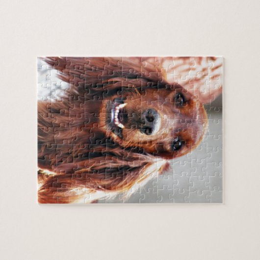 Irish Setter Dog Legpuzzel (Horizontaal)