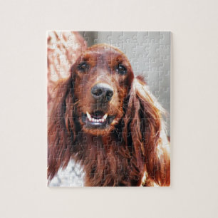 Irish Setter Dog Legpuzzel