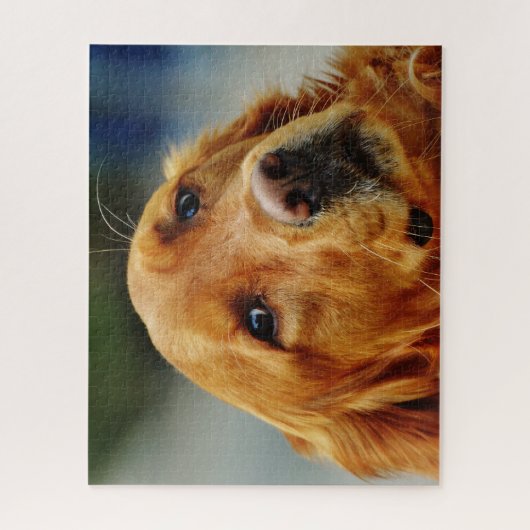 Irish Setter Dog. Legpuzzel (Verticaal)