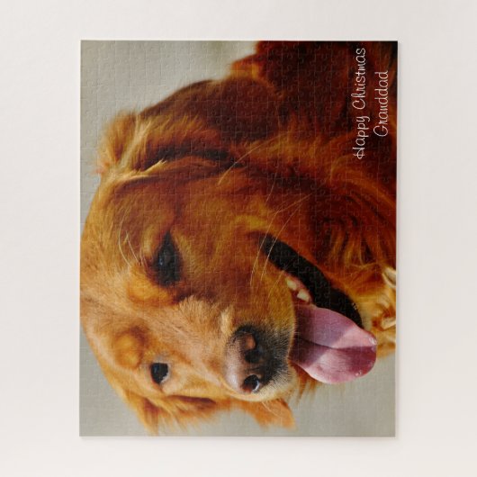 Irish Setter Dog. Legpuzzel (Verticaal)