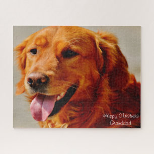 Irish Setter Dog. Legpuzzel