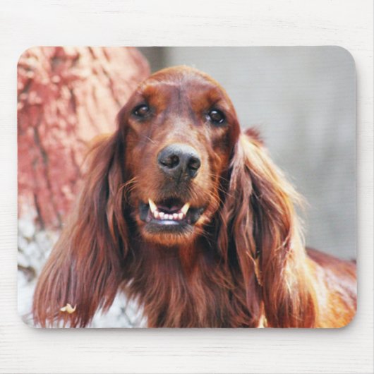 Irish Setter Dog Muismat (Voorkant)