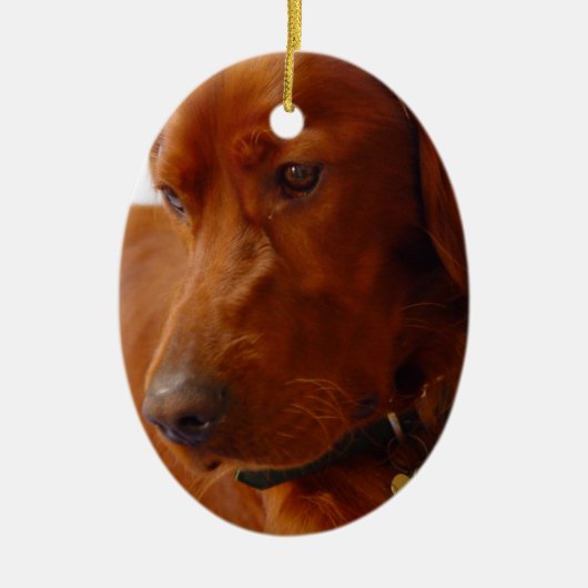 Irish Setter Dog Ornament (Voorkant)