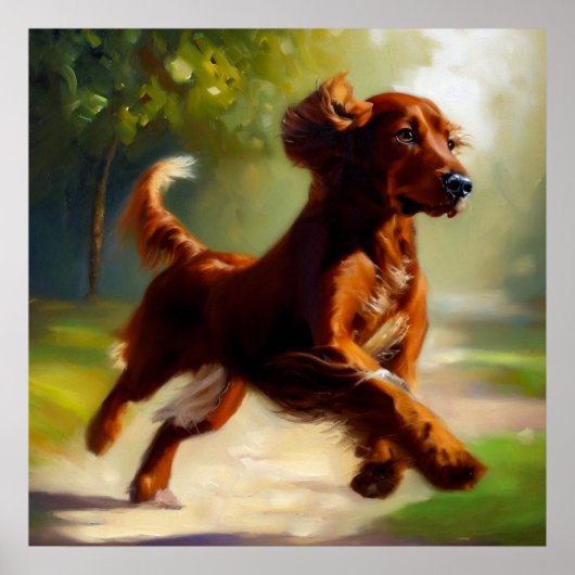 Irish Setter Dog Poster (Voorkant)