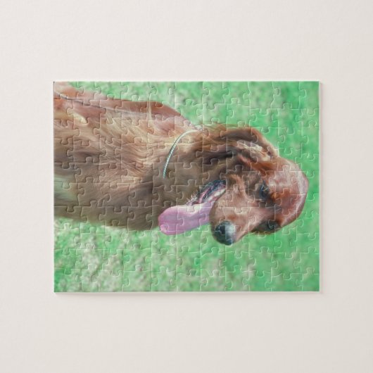 Irish Setter Dog Puzzle Legpuzzel (Horizontaal)