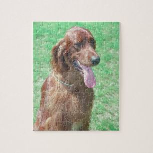 Irish Setter Dog Puzzle Legpuzzel