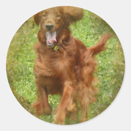 Irish Setter Dog Stickers (Voorkant)