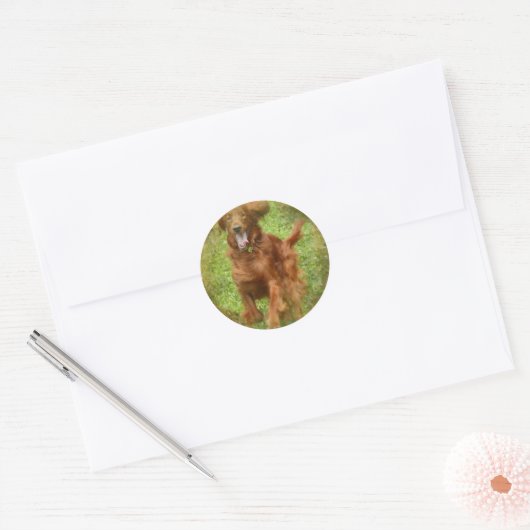 Irish Setter Dog Stickers (Envelop)
