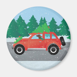 Irish Setter Driving a Car with a tree on top. Magneet