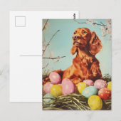 Irish Setter Easter Briefkaart (Voorkant / Achterkant)