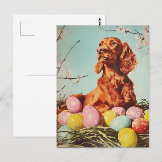 Irish Setter  Easter Briefkaart (Voorkant / Achterkant)