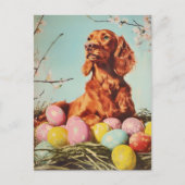 Irish Setter  Easter Briefkaart (Voorkant)
