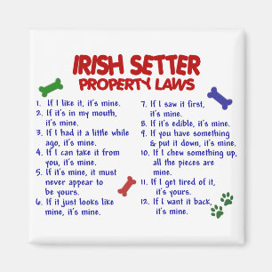 IRISH SETTER Eigenschapwetten 2 Magneet
