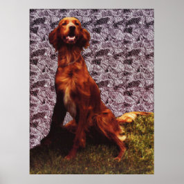 Irish Setter en Patterned Concrete Wall Poster
