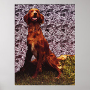 Irish Setter en Patterned Concrete Wall Poster