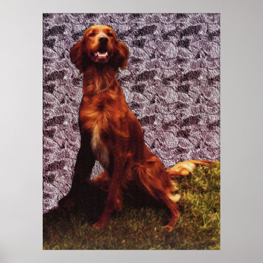 Irish Setter en Patterned Concrete Wall Poster (Voorkant)