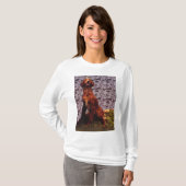 Irish Setter en Patterned Concrete Wall T-shirt (Voorkant volledig)