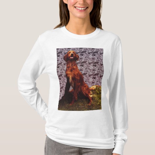 Irish Setter en Patterned Concrete Wall T-shirt (Voorkant)
