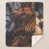 Irish Setter en Pug Sherpa Deken (Voorkant)