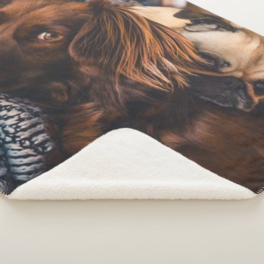 Irish Setter en Pug Sherpa Deken (3/4)