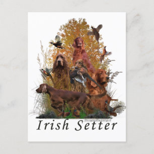 Irish Setter Feestdagenkaart