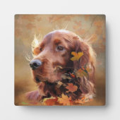 Irish Setter Fotoplaat (Voorkant)