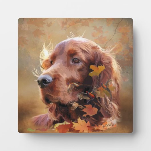 Irish Setter Fotoplaat (Voorkant)