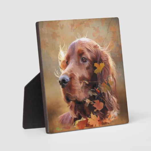 Irish Setter Fotoplaat (Voorkant)