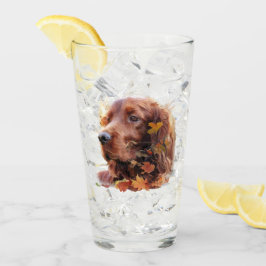 Irish Setter Glas
