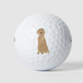 Irish Setter Golfballen (Voorkant)