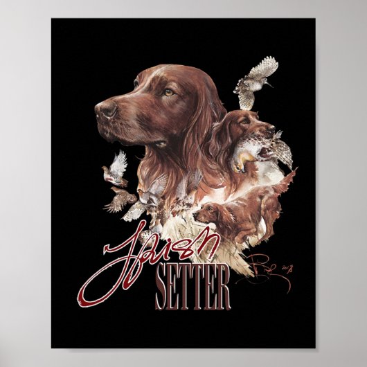Irish Setter Hondenliefhebbers Poster (Voorkant)