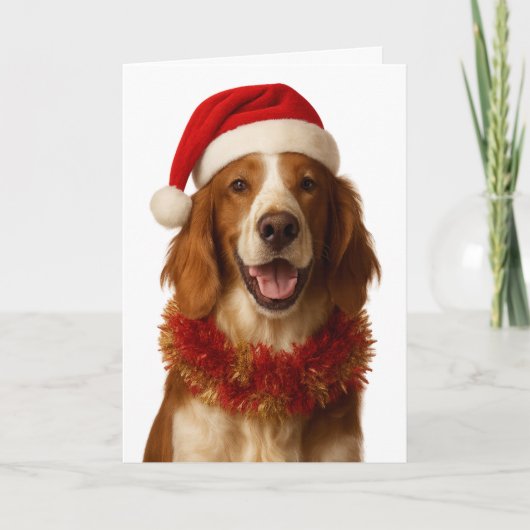 Irish Setter in a Santa hat Christmas card Kaart (Voorkant)