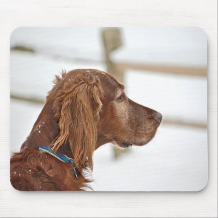 Irish Setter in sneeuw Muismat