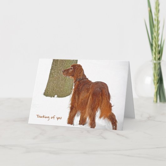 Irish Setter in sneeuwdenken aan jou Kaart (Voorkant)