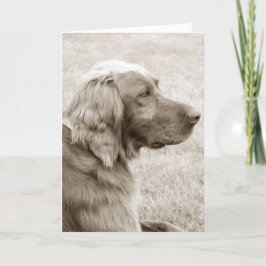 Irish Setter Kaart
