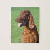 Irish Setter Legpuzzel (Verticaal)