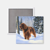 Irish Setter liet het sneeuwen Kerstmis Magneet (Voorkant / Achterkant)