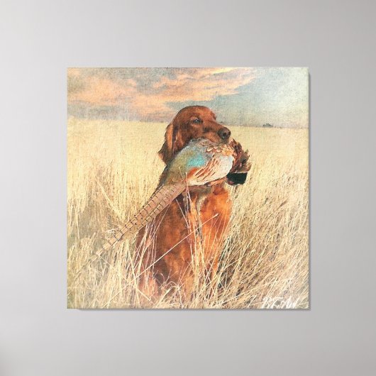 Irish Setter met fazant Canvas Afdruk (Voorkant)