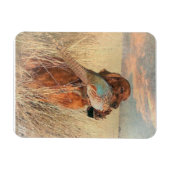 Irish Setter met fazant Magneet (Horizontaal)