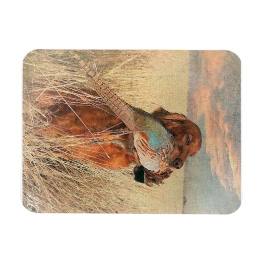 Irish Setter met fazant Magneet (Horizontaal)