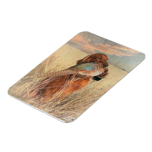 Irish Setter met fazant Magneet (Linkerzijde)