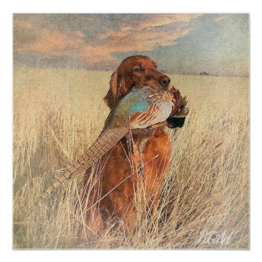 Irish Setter met fazant Perfect Poster (Voorkant)