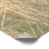 Irish Setter met fazant Poster (Hoek)