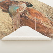 Irish Setter met fazant Sherpa Deken (3/4)