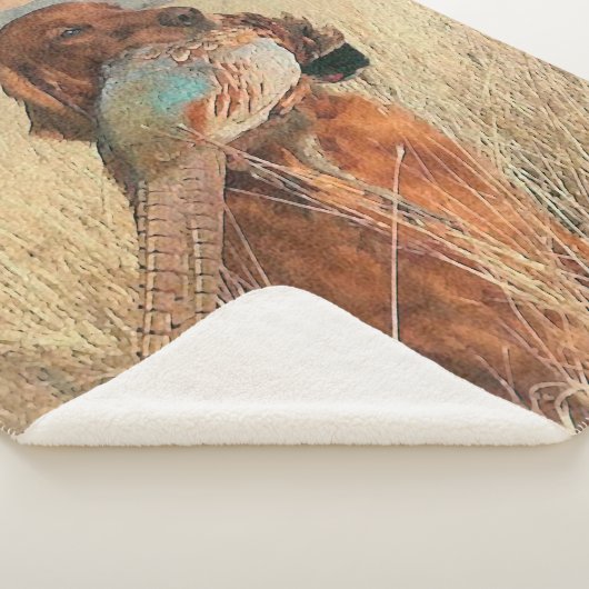 Irish Setter met fazant Sherpa Deken (3/4)