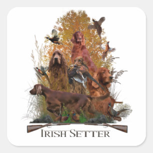 Irish Setter met fazant Vierkante Sticker