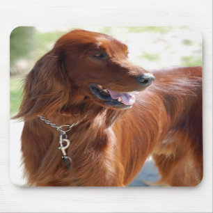 Irish Setter Mousepad Muismat