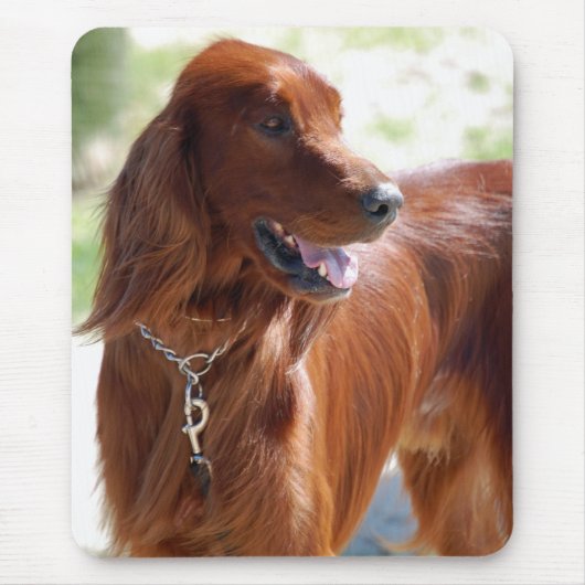 Irish Setter Mousepad Muismat (Voorkant)
